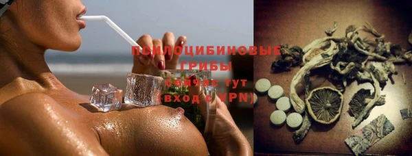 шишки Медвежьегорск