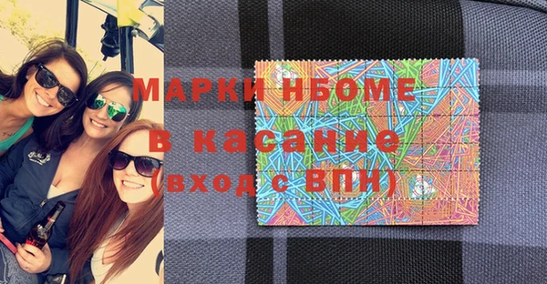 шишки Медвежьегорск