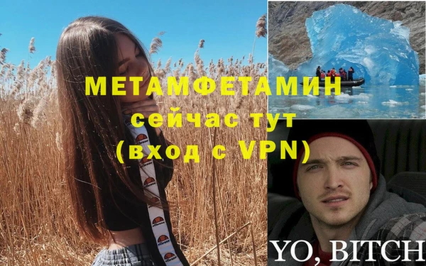 шишки Медвежьегорск