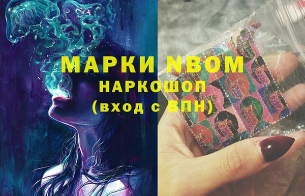 шишки Медвежьегорск