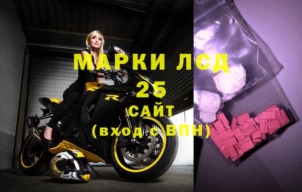 индика Михайлов