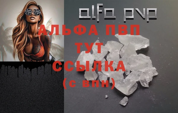 индика Михайлов