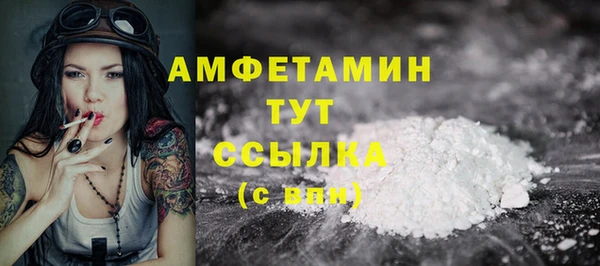 шишки Медвежьегорск