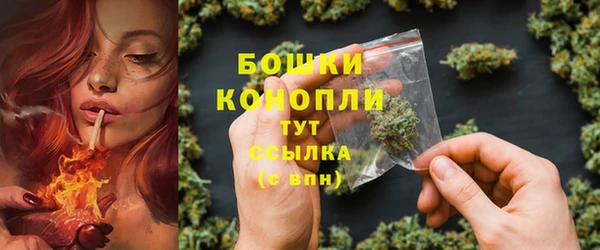 ПСИЛОЦИБИНОВЫЕ ГРИБЫ Михайловск