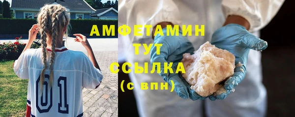 шишки Медвежьегорск