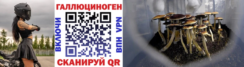 как найти закладки  Лебедянь  Псилоцибиновые грибы Psilocybe 